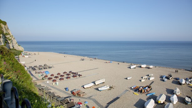 A beach with boats and umbrellas, a clear sky, and a rocky cliff. - Withycombe is a beautifully presented dog-friendly terraced cottage for six guests (Seaton)