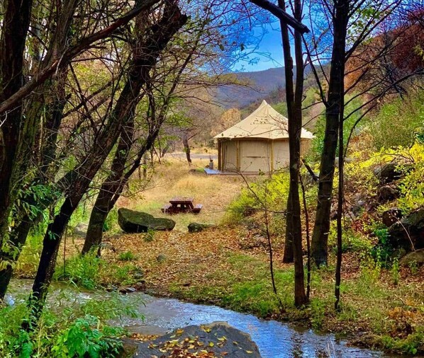 تناول الطعام بالخارج