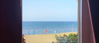 Carib Waves
