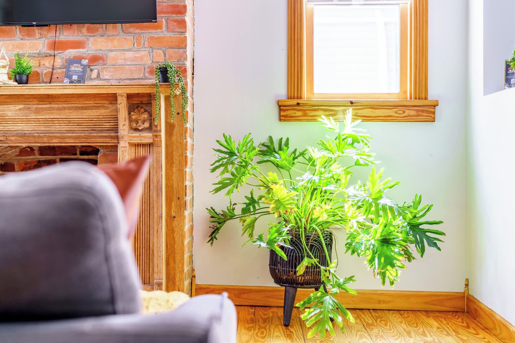 Un salon avec une cheminée en briques, un meuble TV en bois, une plante en pot et une fenêtre avec un cadre en bois.