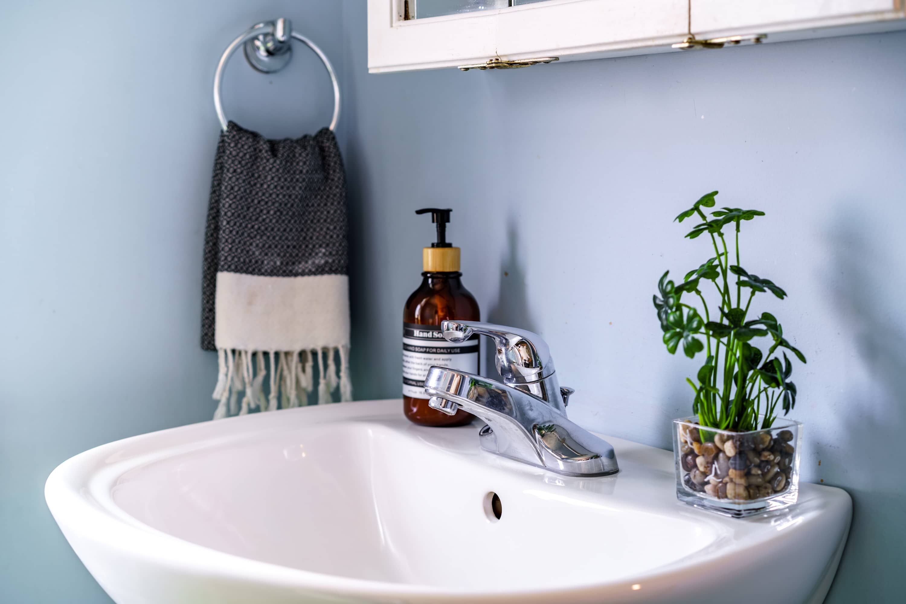 A bathroom sink with a chrome faucet, a soap dispenser, and a small plant in a glass container.