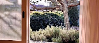 OPescador, 4 bedrooms, steps from the Posta