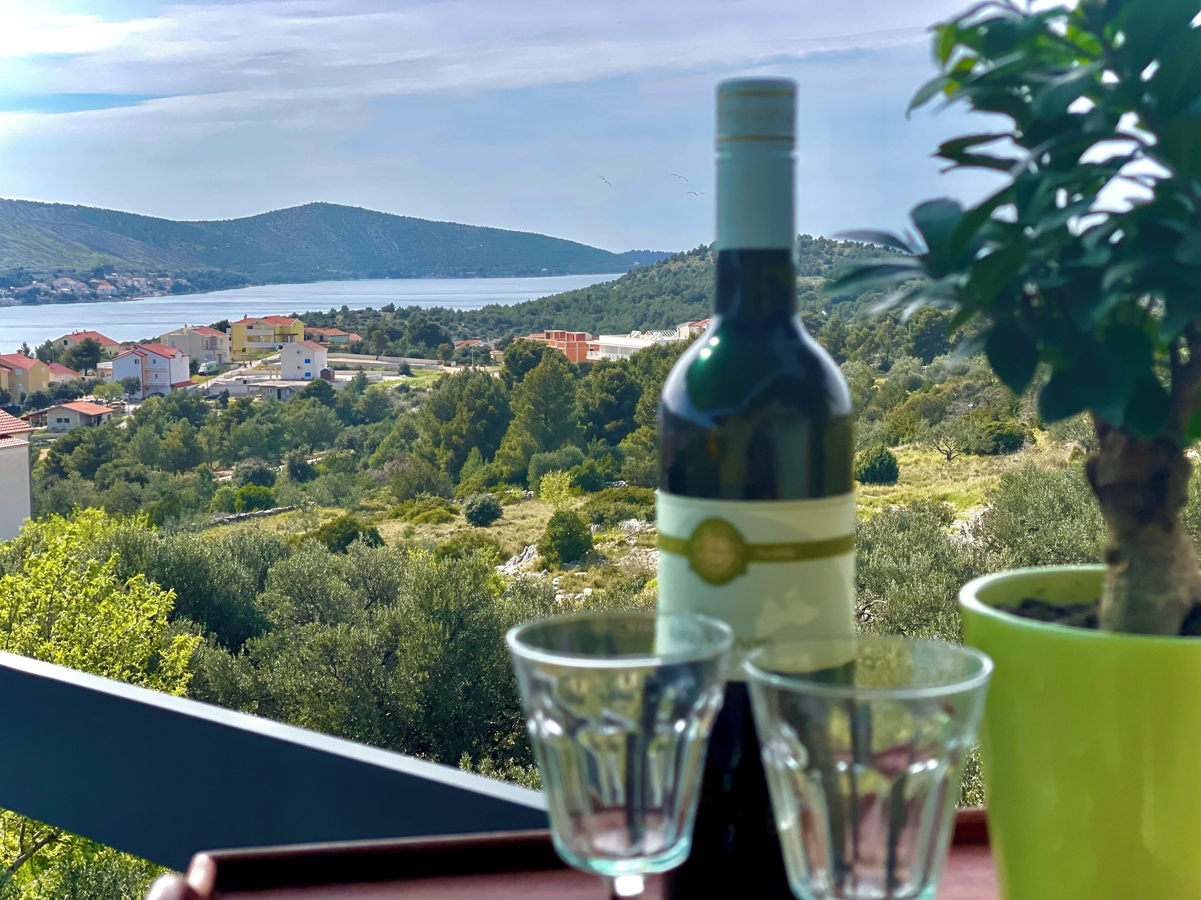 A balcony with a bottle of wine, two glasses, and a potted plant.