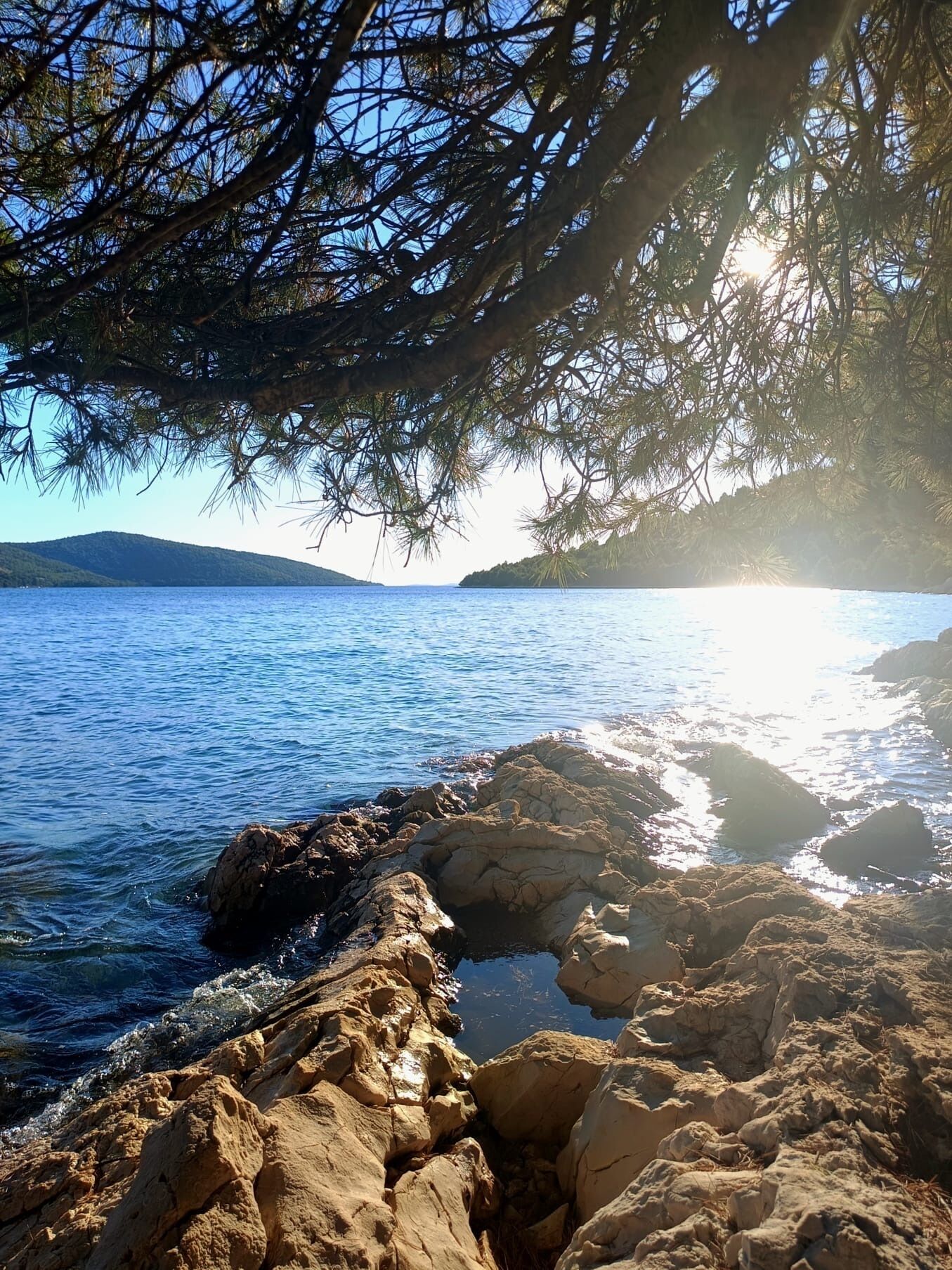 Una costa rocciosa con acque cristalline blu e un albero sullo sfondo.