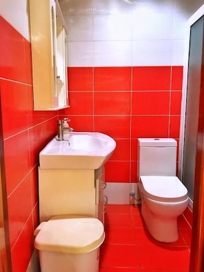 Shower, free toiletries, towels, soap