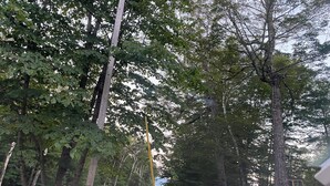 A construction site with trees, a road, and a yellow construction vehicle. - Soothing cabin at Great sacandaga lake come enjoy the peace in a rural area. (Hadley)