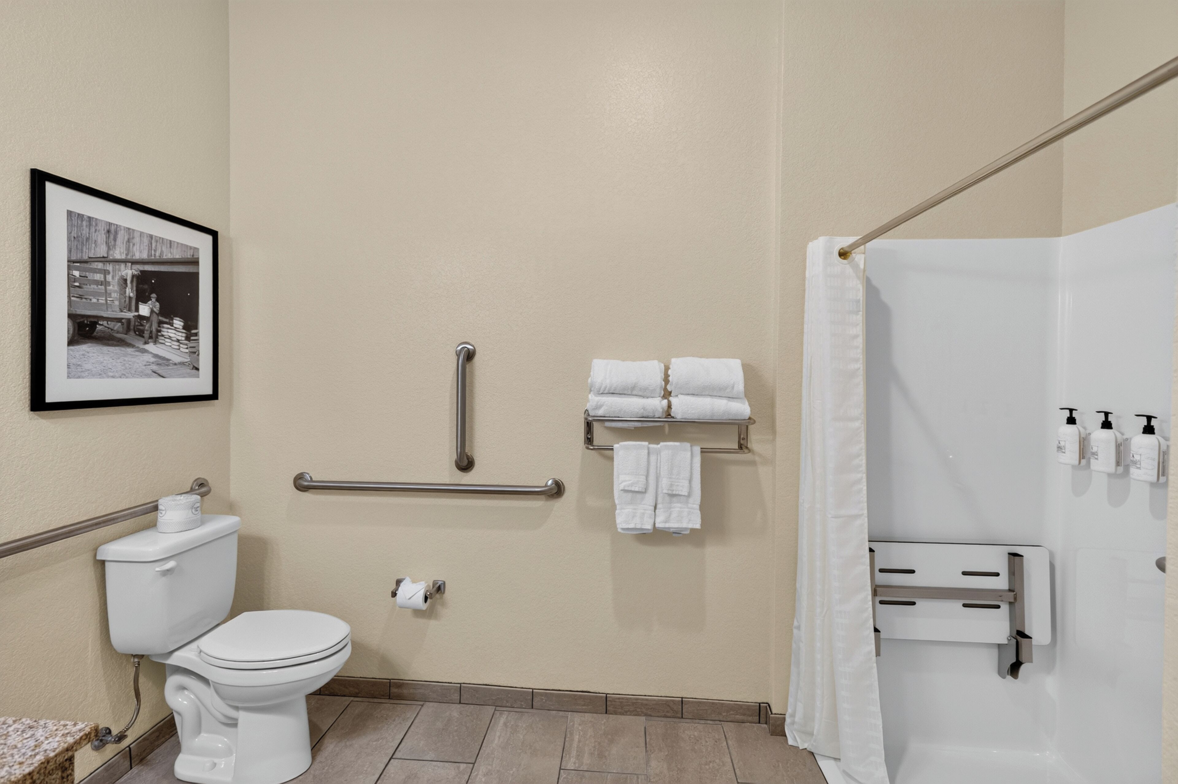 Un baño con inodoro, barra de apoyo, toallero y zona de ducha.