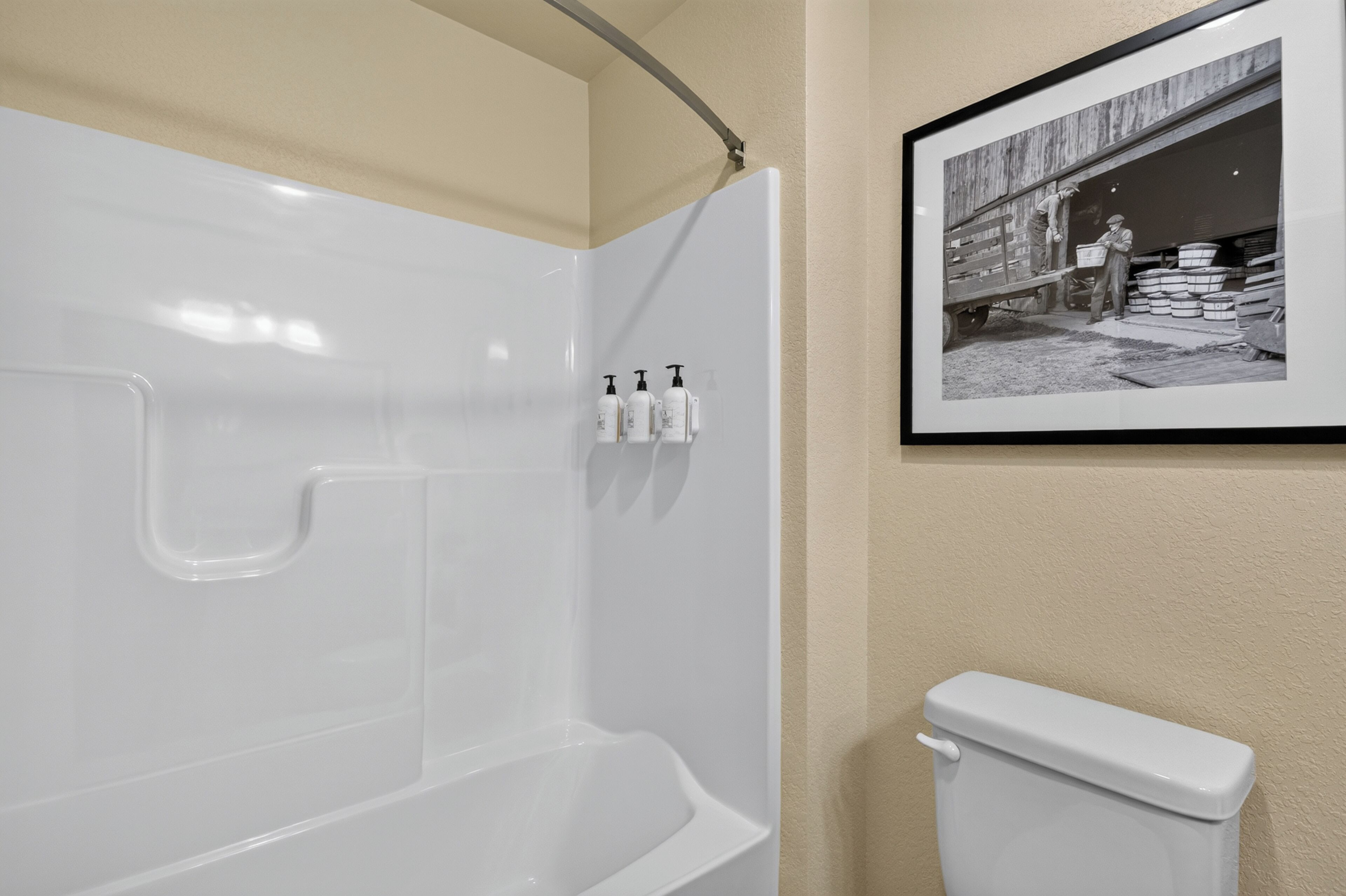 A bathroom with a white bathtub, a toilet, and a framed black and white photograph on the wall.