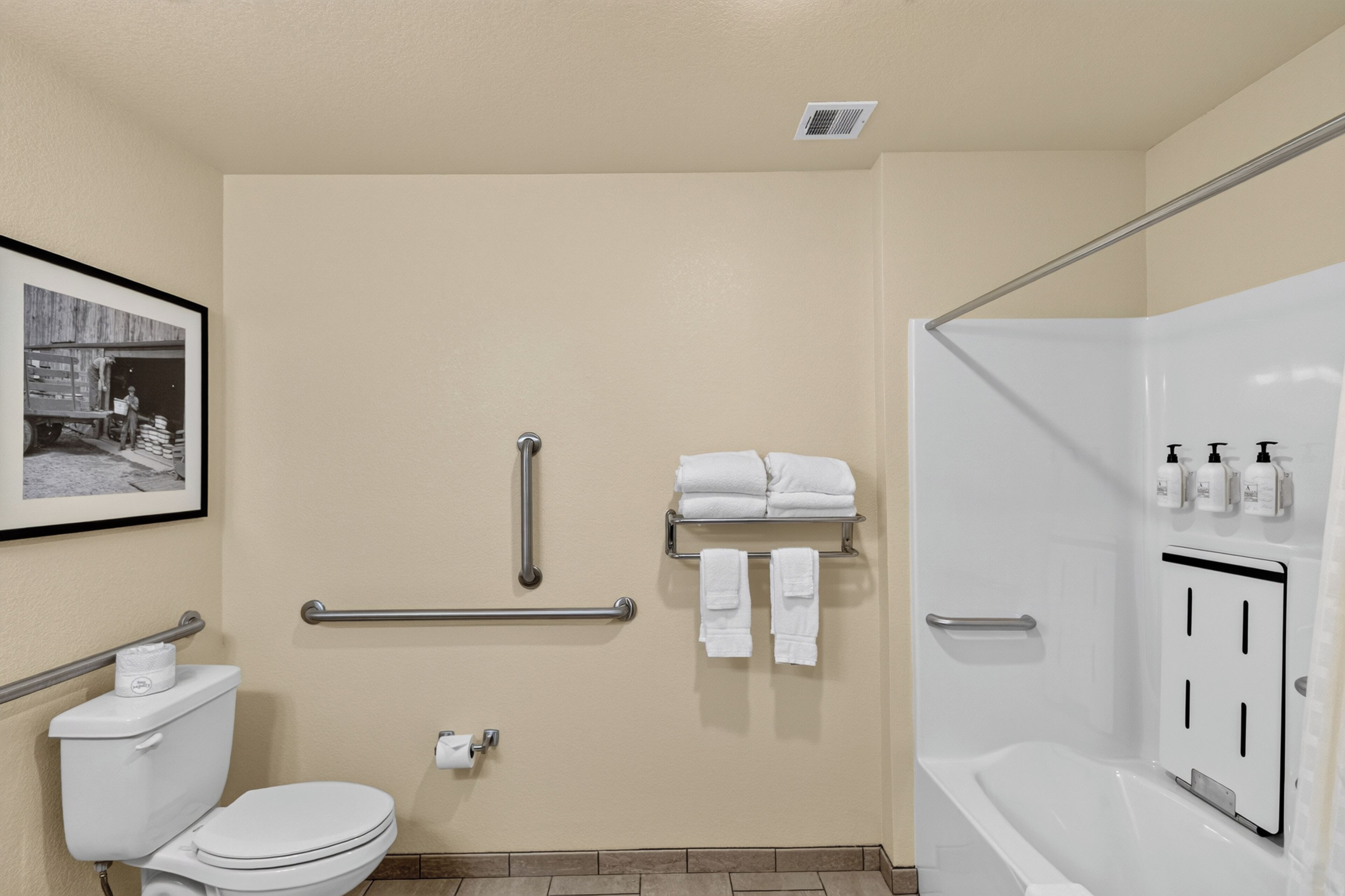 A bathroom with a toilet, a shower, a handrail, a towel rack, and a picture on the wall.