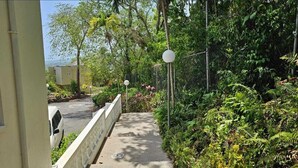 A narrow pathway flanked by dense greenery and a white car parked on the left. - Charming 1-bedroom apartment with Breathtaking views in Ocho Rios, Jamaica (Ocho Rios)