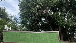 A small building with a green exterior, a white door marked with the number 3, a window, and a tree stump in the front yard. - Inclinescape#3 (Colorado Springs)