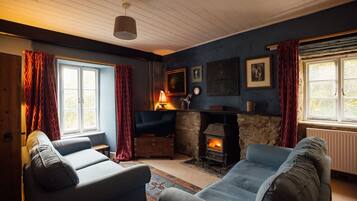 TV, fireplace, ping pong