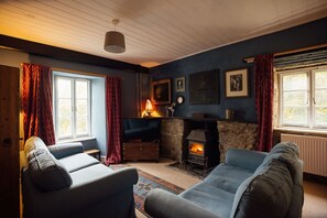 TV, fireplace, ping pong