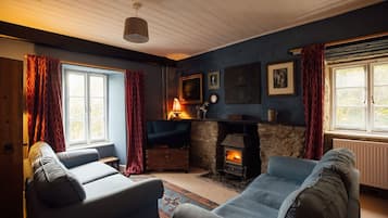 TV, fireplace, table tennis