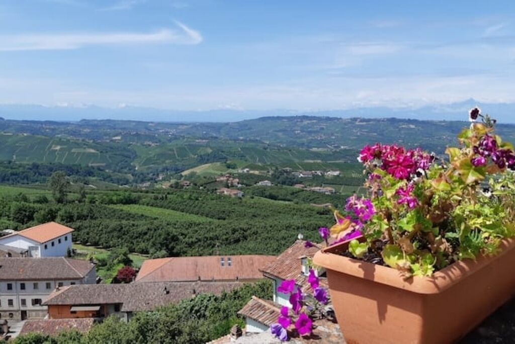 A terracotta flower pot with purple flowers on a balcony overlooking a valley with houses and green fields.