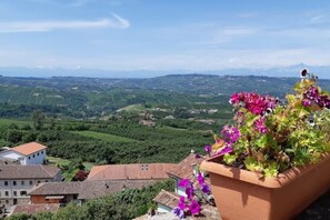 Ein terrakottafarbener Blumentopf mit violetten Blüten auf einem Balkon mit Blick auf ein Tal mit Häusern und grünen Feldern.