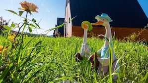 A sculpture of two ducks in a grassy field with a building in the background. - Galaxy Bungalov (Akçaabat)