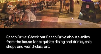 Luxurious Downtown Pool Retreat - St. Petersburg - Pets Welcome