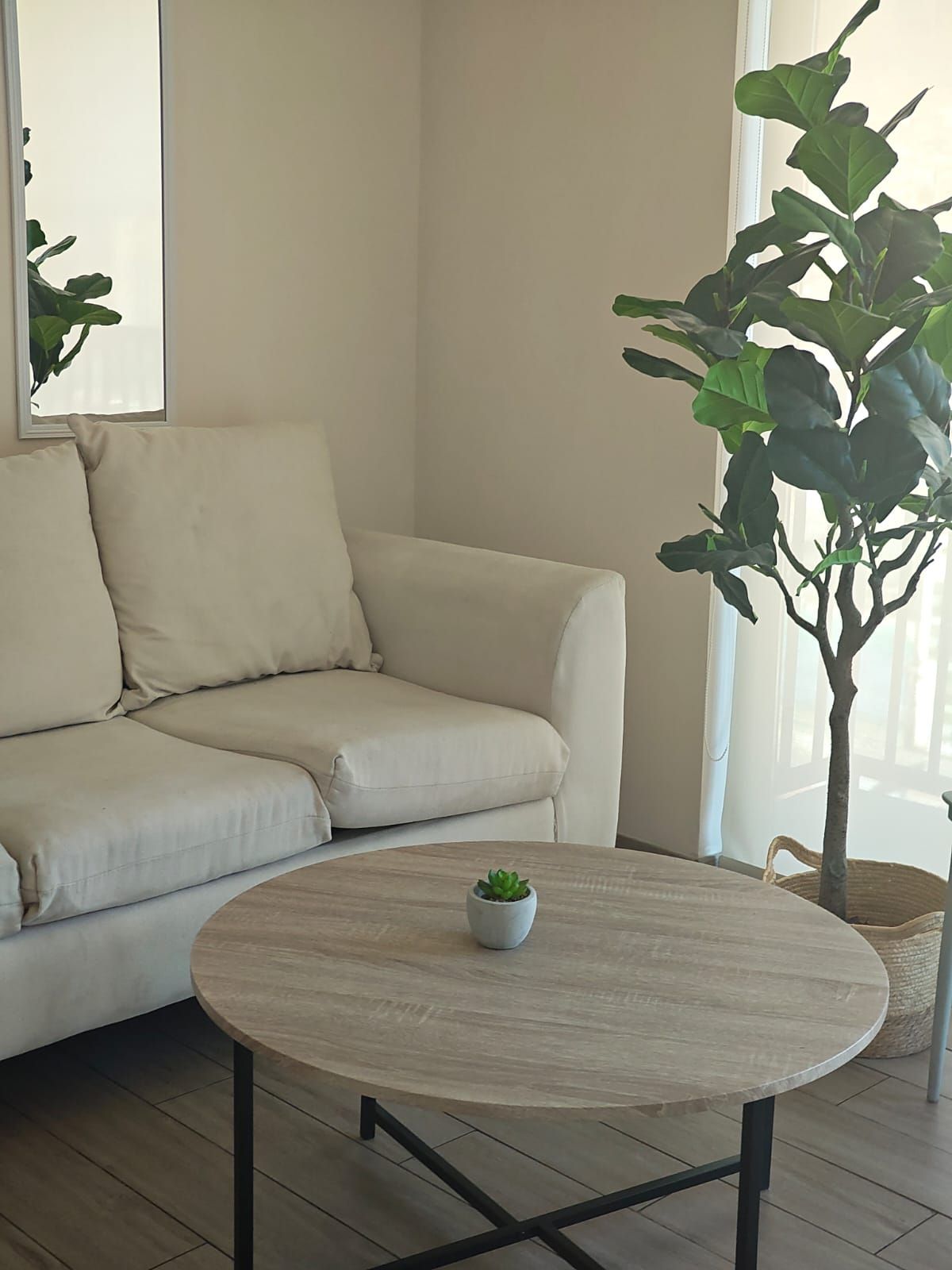 Ein Wohnzimmer mit einem beigen Sofa, einem runden Couchtisch mit einer kleinen Pflanze und einer großen Zimmerpflanze neben dem Sofa.