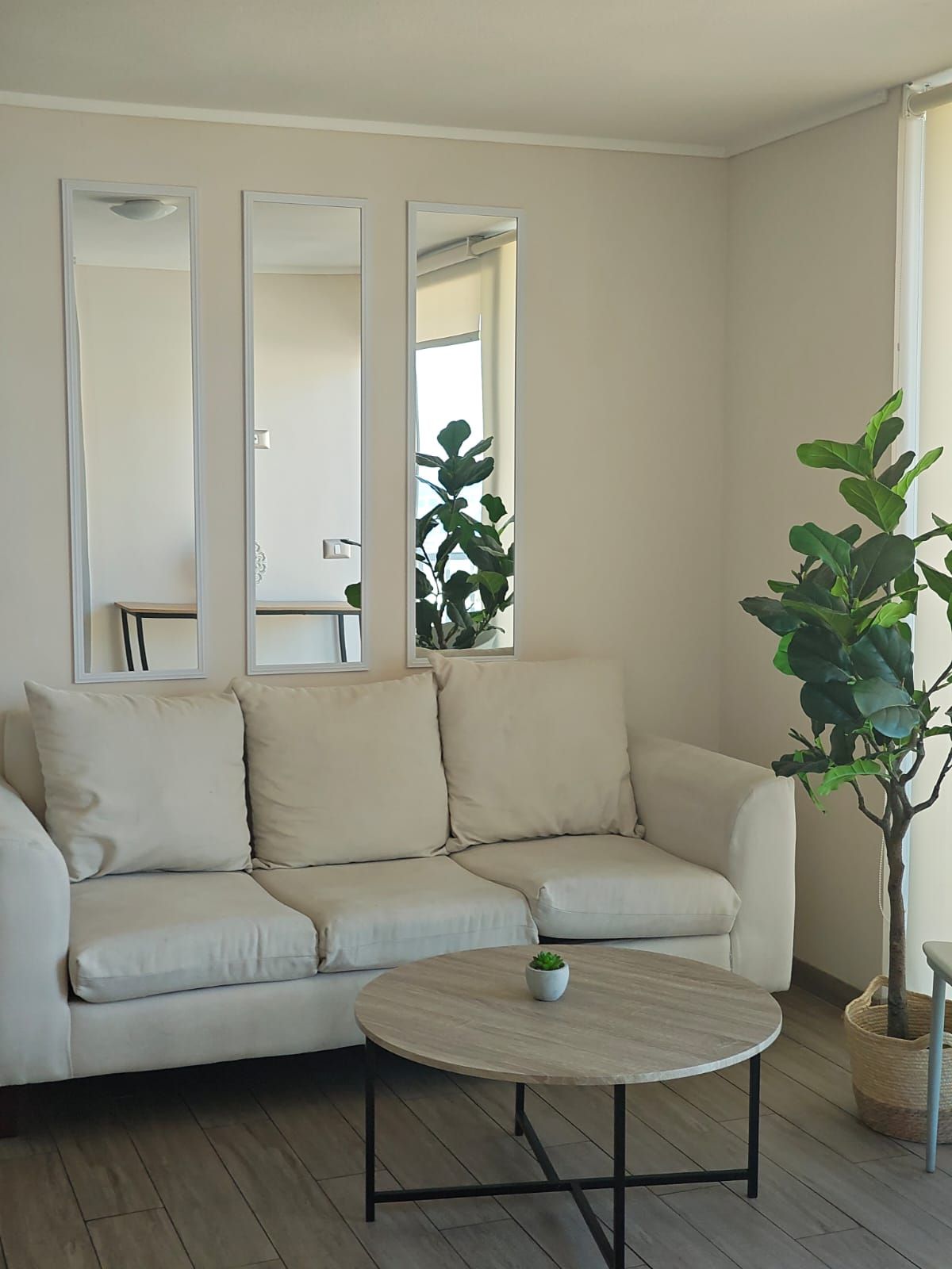 Una sala de estar con un sofá color beige, una mesa de centro redonda y una planta en maceta.