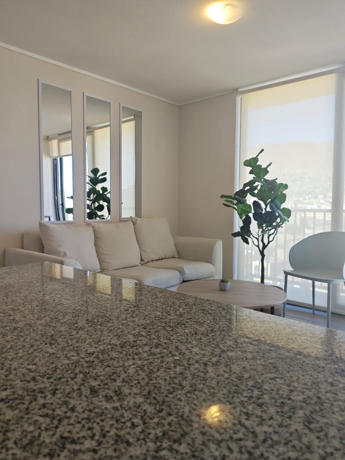 Una sala de estar moderna con un sofá, una mesa de centro, una planta en maceta y un ventanal grande.