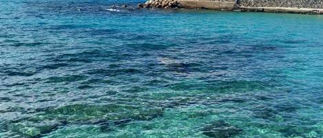 Spiaggia