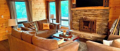Smart TV, fireplace, books