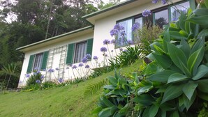 A two-story house with green shutters, surrounded by lush greenery and flowering plants.