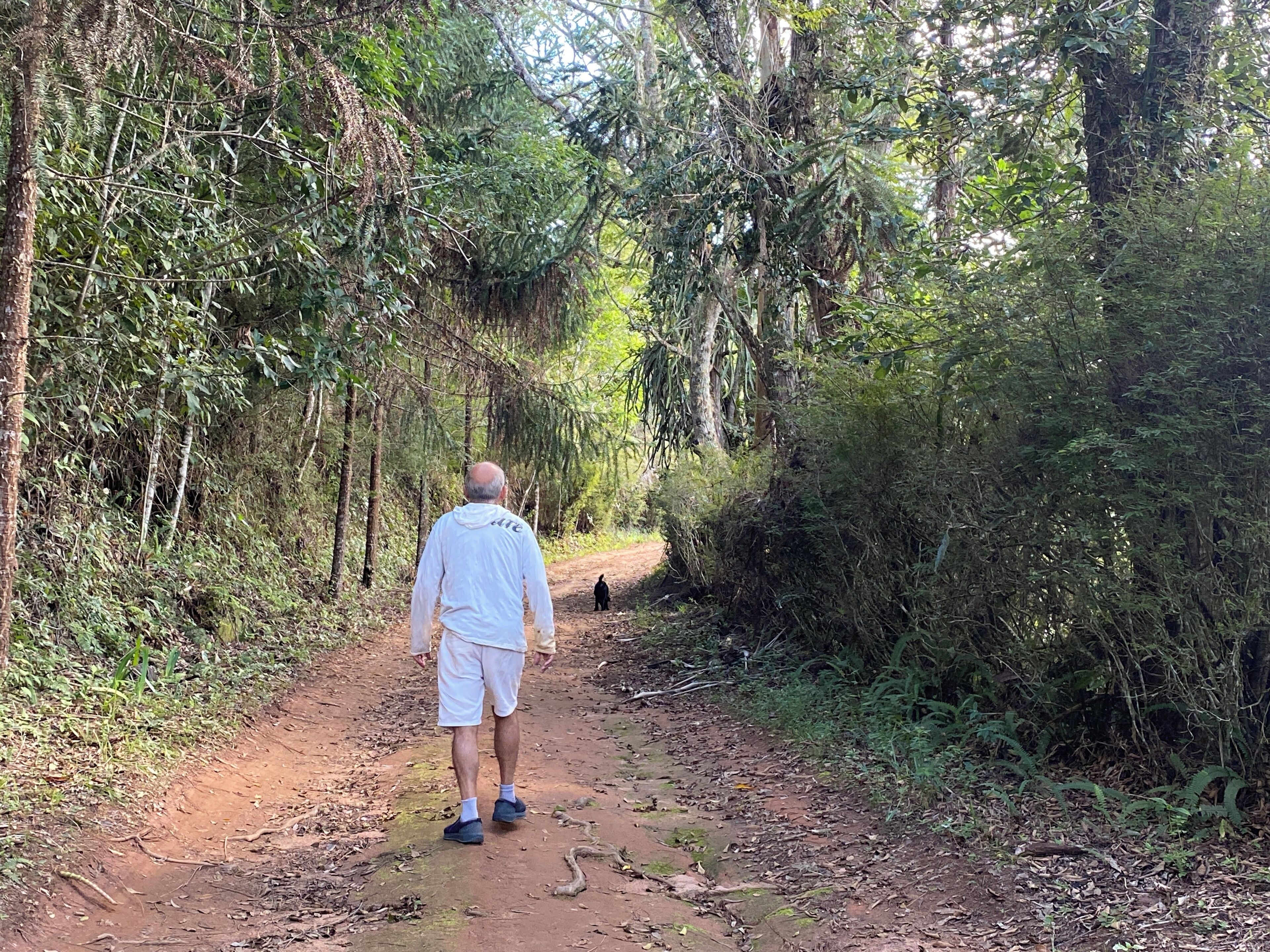 A man walking on a dirt path surrounded by dense foliage.