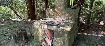 Cottage in the Woods near Asheville.  Pets allowed