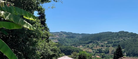 Uima-allas