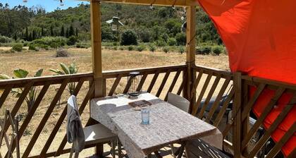 Harald's Mobile Home