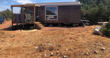 Harald's Mobile Home