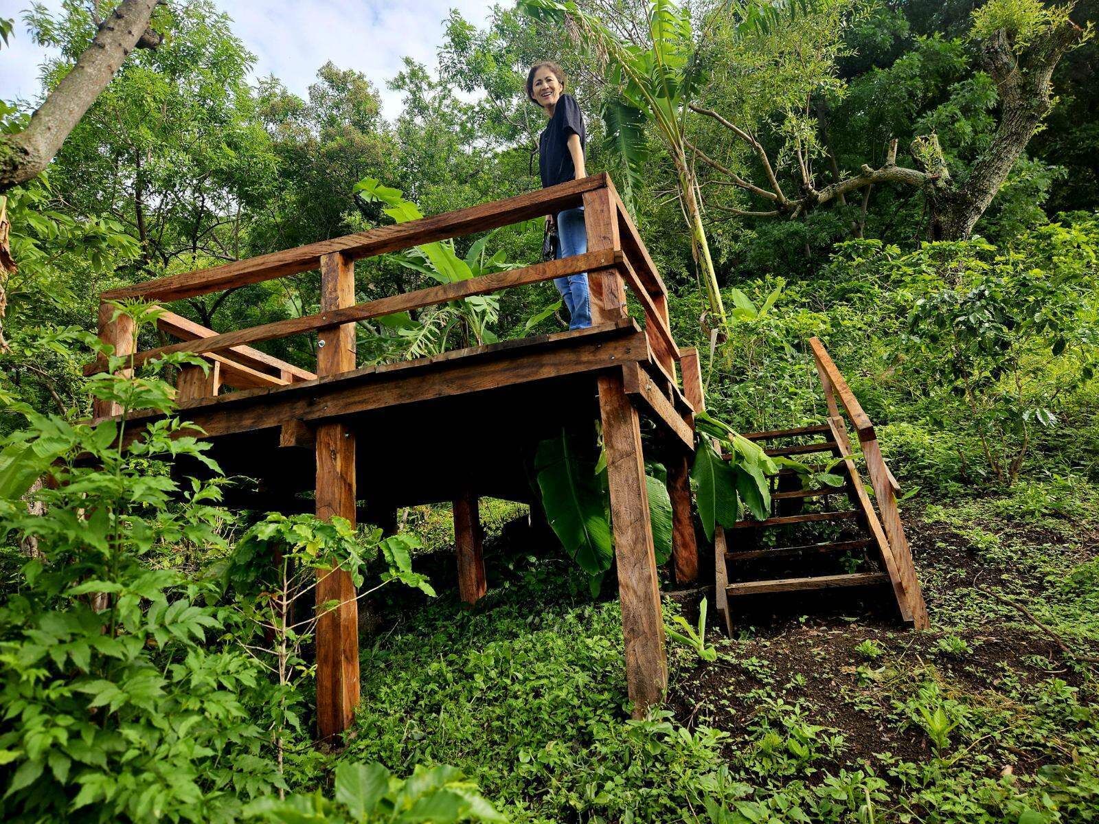 Área da propriedade