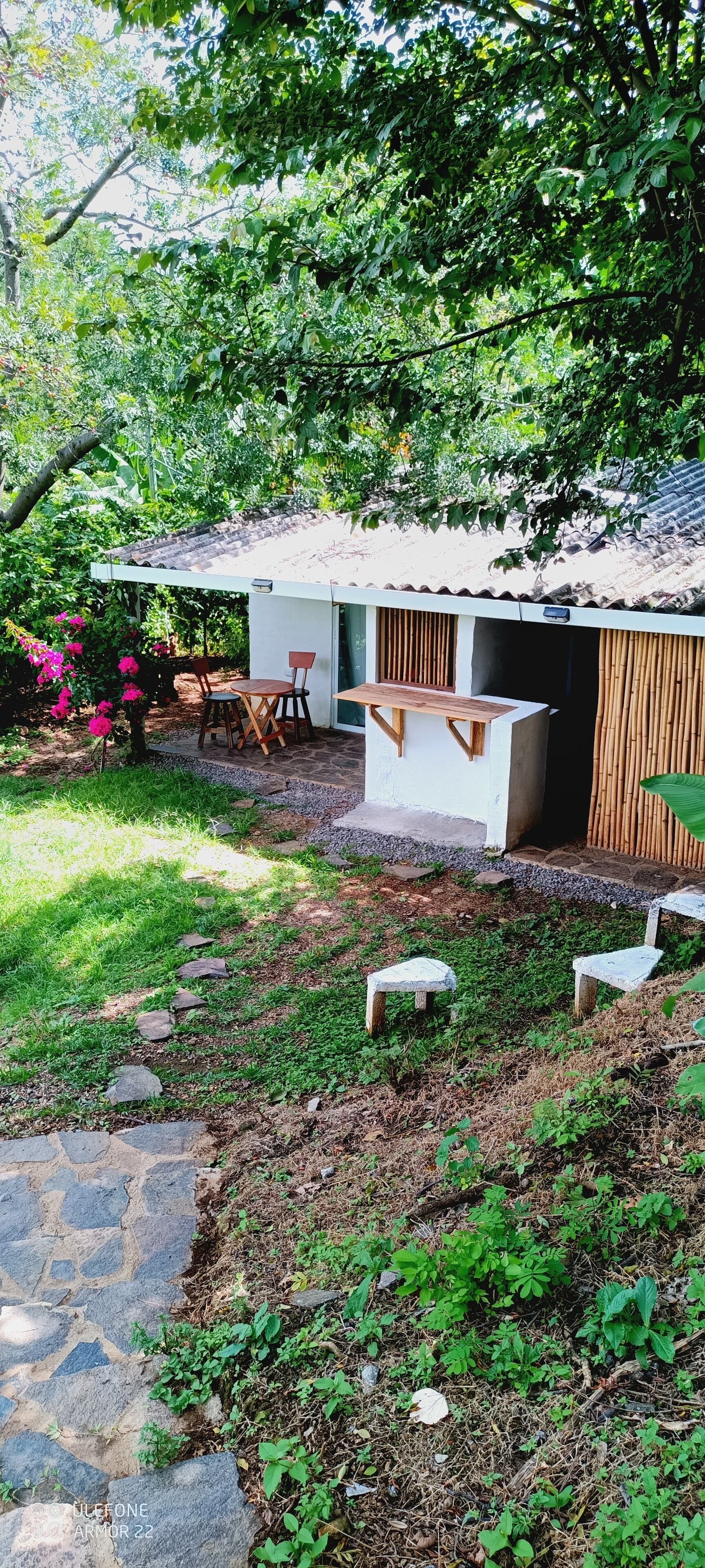 A small, modern outdoor kitchen with a stone pathway leading to a wooden deck, surrounded by lush greenery and a small seating area.