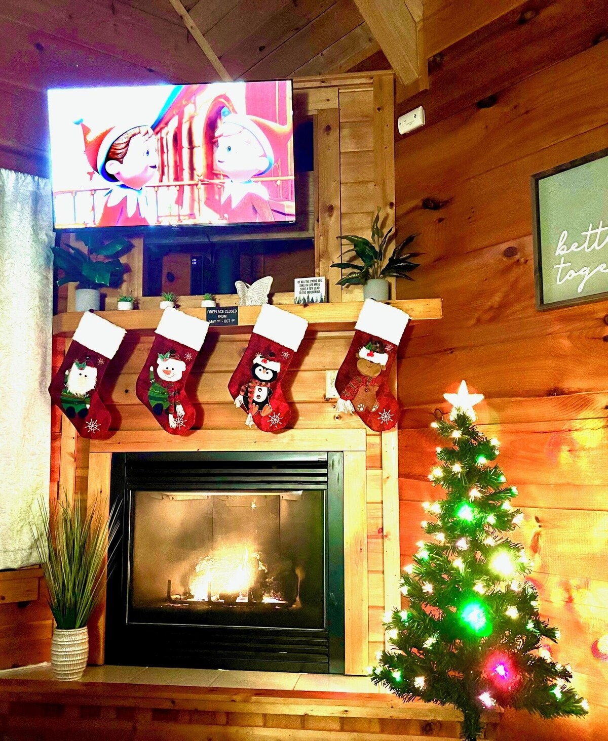 オーナーのプロフィール画像