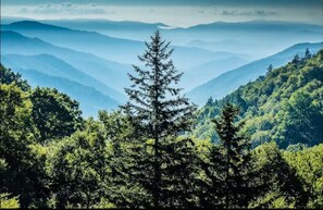 Miscellaneous - Cozy Smoky Mountain Cabin  - Hot Tub - Prime Location (Gatlinburg)