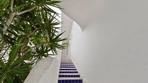 Property grounds - Gorgeous six-bedroom oceanfront villa (Cozumel)