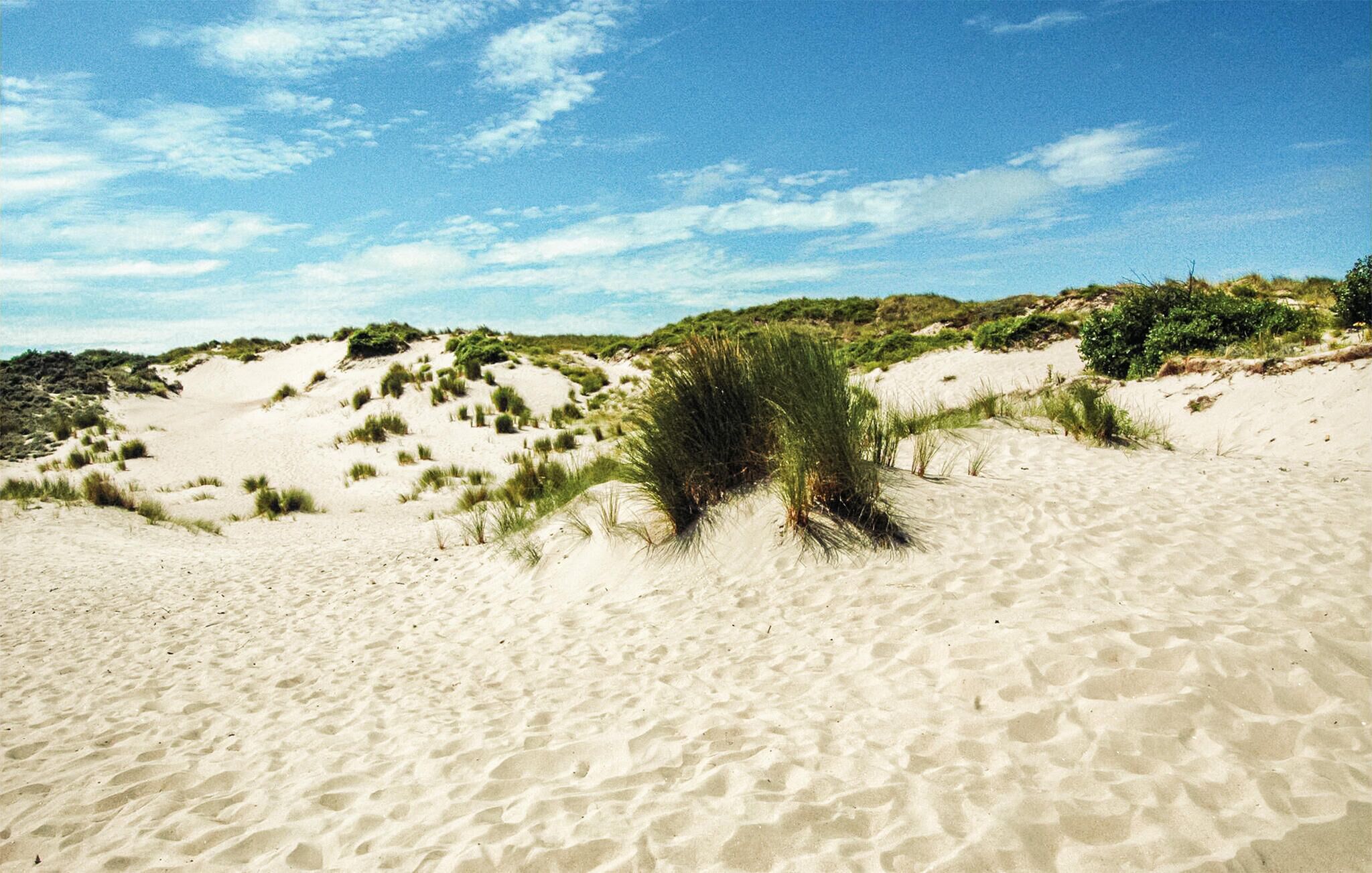 A sandy beach with dunes and sparse vegetation.