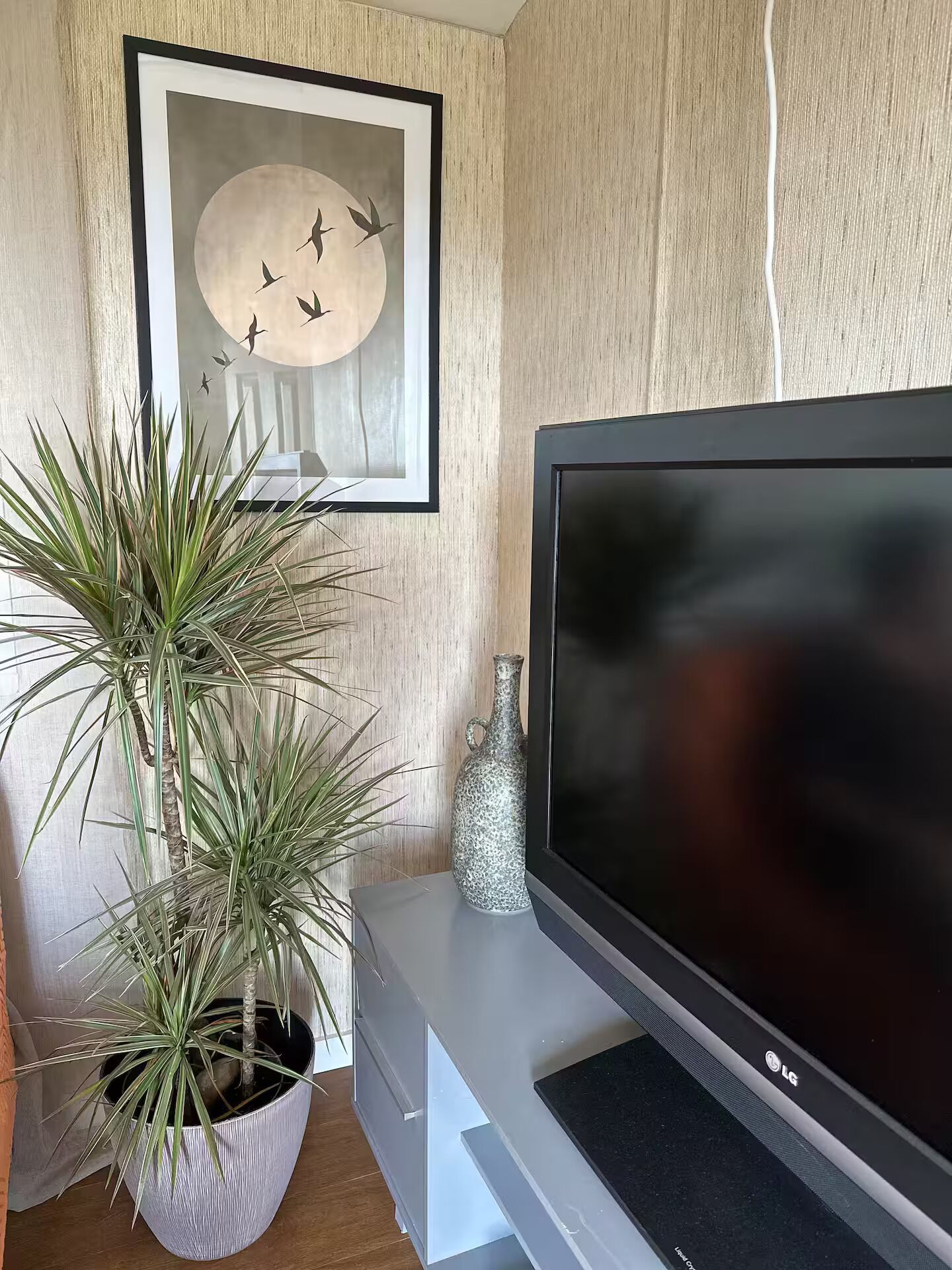 A living room with a flat-screen TV on a stand, a potted plant, a decorative vase, and a framed artwork on the wall.