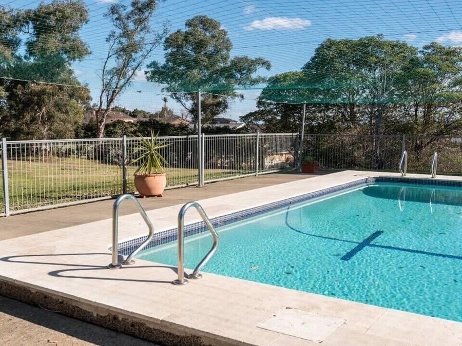 A rectangular swimming pool with a tiled edge, surrounded by a metal fence, and a potted plant nearby.
