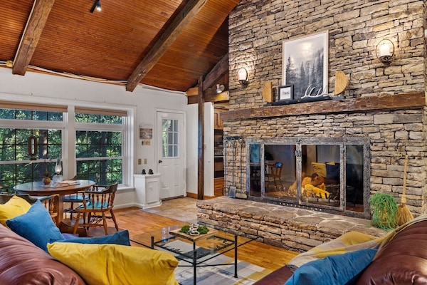 Smart TV, fireplace, books