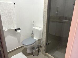 Shower, towels, soap, toilet paper