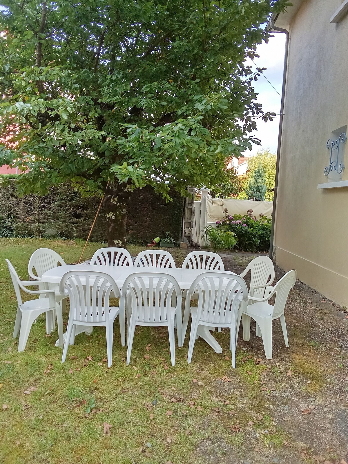 Värdens profilbild