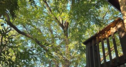 Quiet studio apt w large deck. 15 min to Lanc city, >10 to Spooky Nook Sports