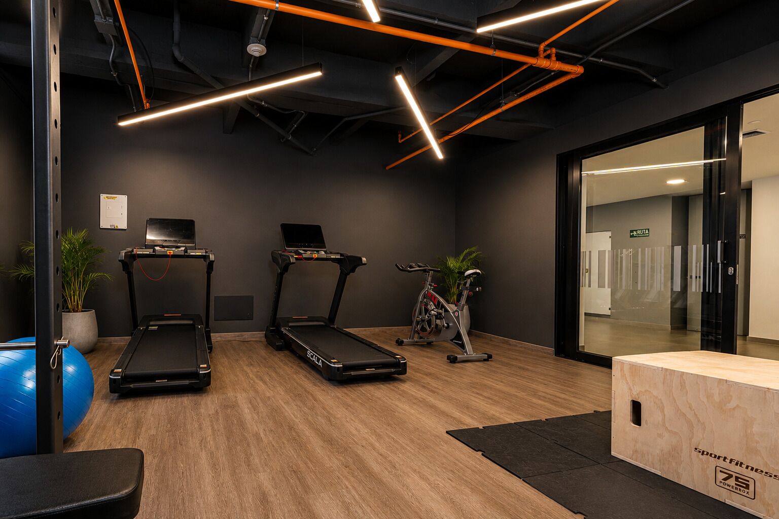 Une salle de remise en forme équipée de tapis de course, d’un vélo d’exercice et d’un ballon d’exercice bleu.