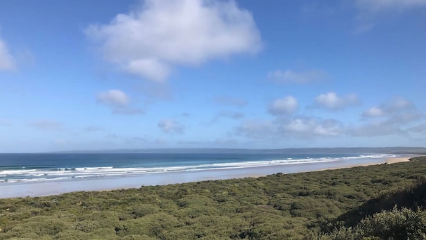 A coastal landscape with a beach, ocean, and dense greenery.