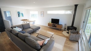 Fernseher, Kamin, DVD-Player