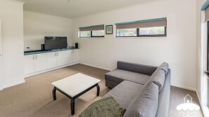 TV, fireplace, video games, DVD player