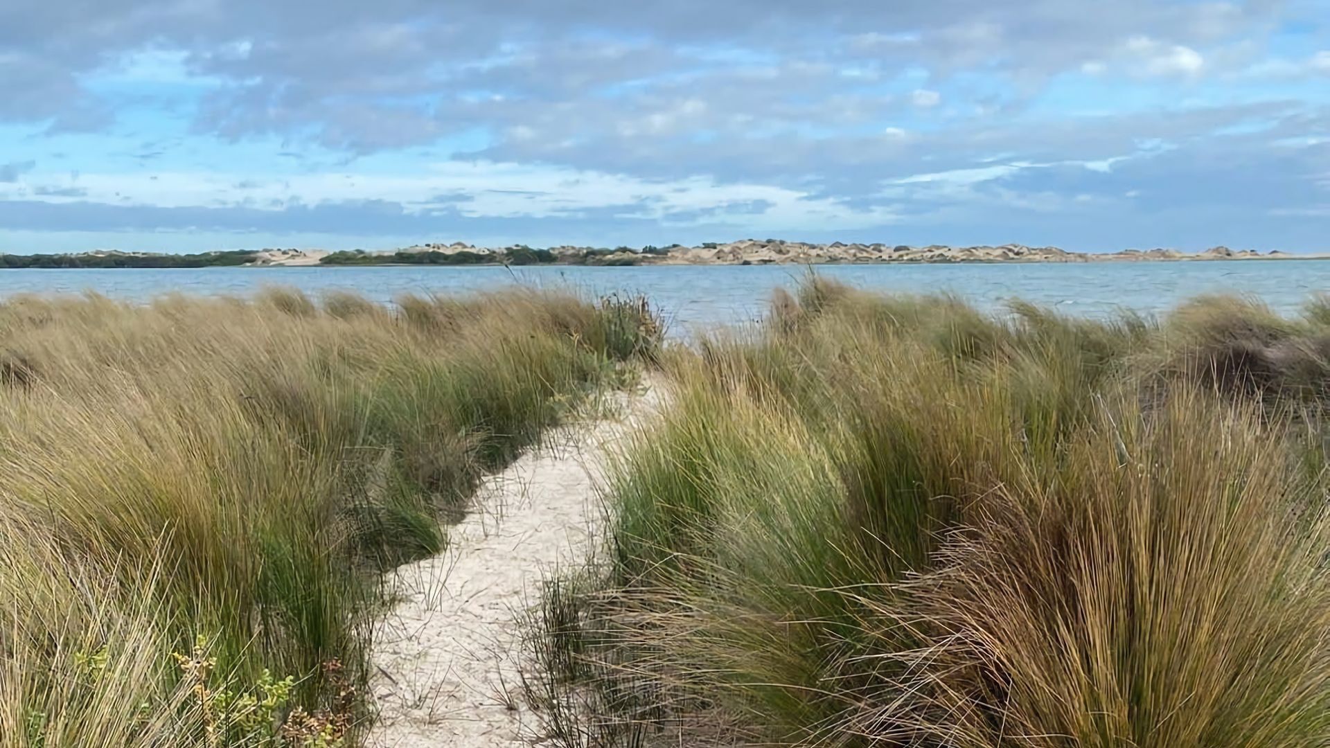 A sandy path leading through tall grass towards a body of water with distant landforms.